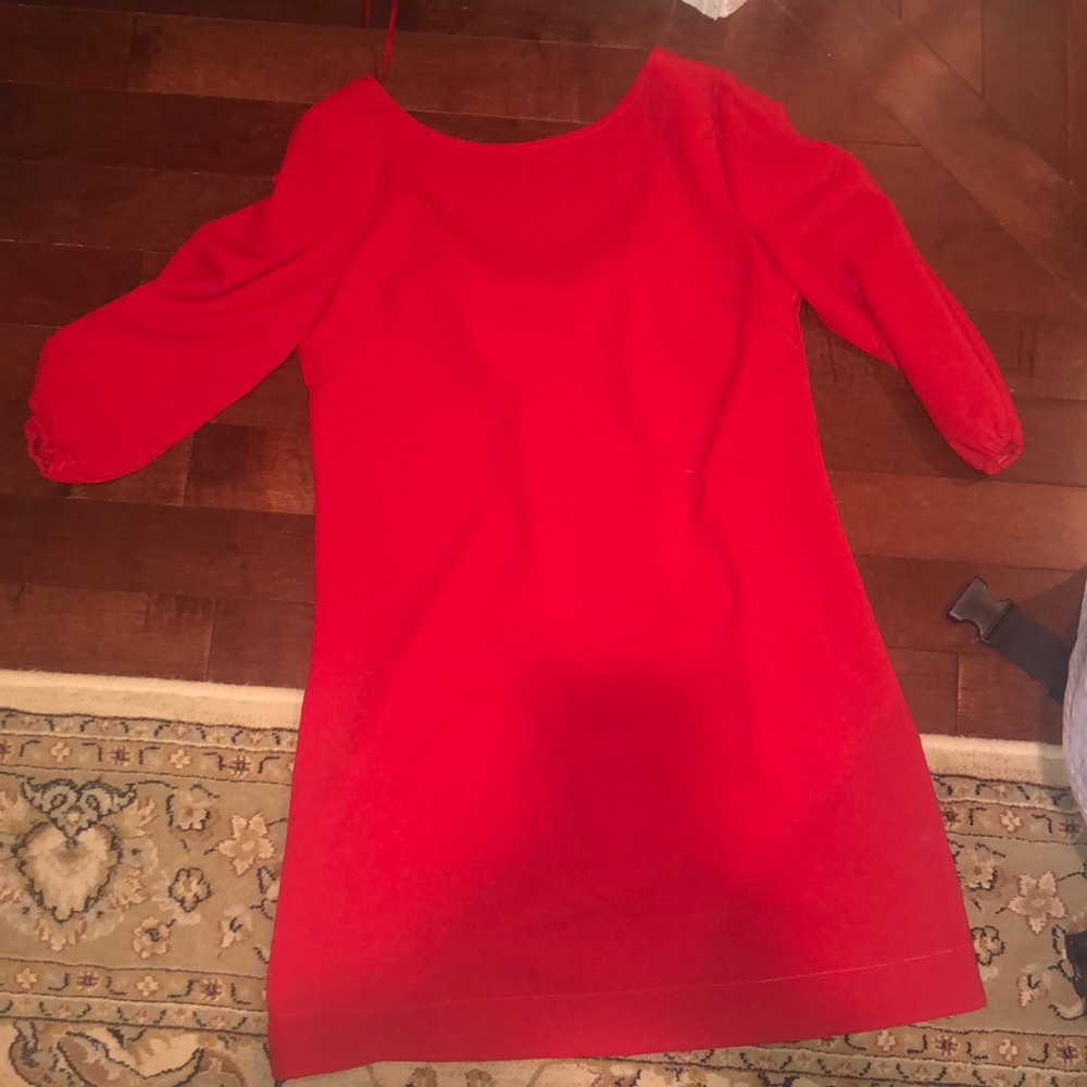 Perfect holiday dress